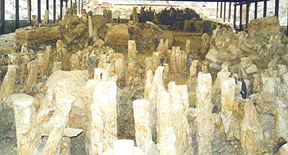 ������ ������� ����� ���� ������ ��������